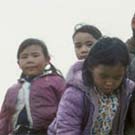 Photograph of a group of eight Inuit girls and boys standing in a field of wildflowers, Pangnirtung(Pangnirtuuq), Nunavut, circa 1975